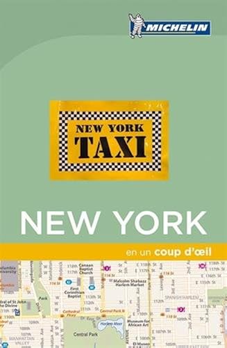 Download New York en un coup d'oeil PDF