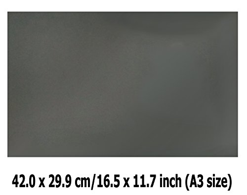 Linear Polarization A3 Sheet Polarizer Educational Physics Polarized Filter Optical