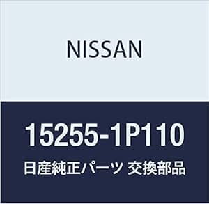 Nissan 15255 1p110