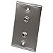 Seismic Audio Speakers Stainless Steel Wall Plate with Dual 1/4-Inch TRS Stereo Jacks