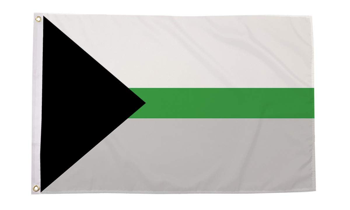 AZ FLAG - Demiromantic Pride Flag - 3x5 Ft - 100D Polyester Lgbt Demisexual Banner with Two Metal Grommets - Fade Resistant - Vivid Colors - 3' x 5' Feet - 150x90 Cm