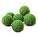 Luffy Nano Betta Balls, 0.4-inches, Live Round-Shaped Marimo Plant, Toys for Betta Fish, Hiding, Rolling, Nibbling, Cleans Aquarium Water & Adds Aesthetic Value to Betta Bowls and Jars, 6-Pieces