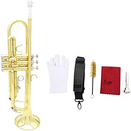SOUND HOUSE 29 Lade Gold Trumpet Bb b Flat Brass Trumpet with Case & Accessories