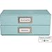 Martha Stewart Home Office with Avery Adhesive Metal Bookplate Silver Horizontal 1-7/16