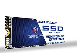 GAMERKING SSD M.2 2242 256GB NGFF Internal Solid
