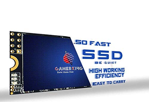 GAMERKING SSD M.2 2242 256GB NGFF Internal Solid