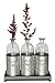Urban Legacy Glass Vases Metal Sitting Holder for Table Top, (Tall, Tin Box, Triple Vase, Galvanized, Milk Bottle, 12 inches)
