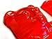 Fame Master Red Gummi Bear Anatomy Model
