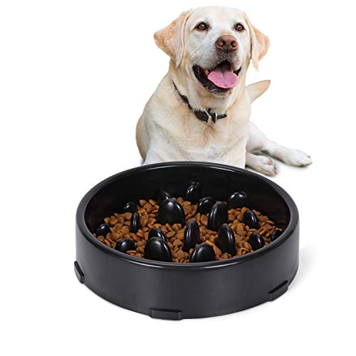 JASGOOD Slow Feeder Dog Bowl for Medium Dogs Slow Feeding Interactive