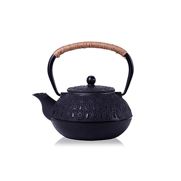 JUEQI Old Dutch Cast Iron Teapot, Enamel Craft Japanese Cast Iron Tea