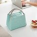 Buringer Reusable Insulated Lunch Bag Cooler Tote Box Meal Prep for Men & Women Work Picnic or Travel （Geometry Green Small Size）