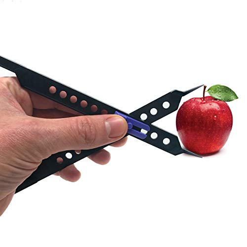 6 Proportional+Pixiss+Professional+Projector+Alternative