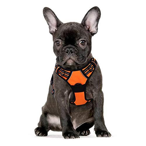 Top 8 Best Beagle Harnesses Available in 2019 Pet Struggles