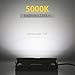 20W Outdoor LED Flood Light - Waterproof IP65 2200LM 5000K Cool White for Garden, Landscape Lighting,Driveways, Backyards, Walkways, Street, Patio Security Lighting