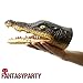 FantasyParty Hand Puppet Realistic Crocodile Role Play Toy Crocodile Latex Puppet for Both Adult and Children Green