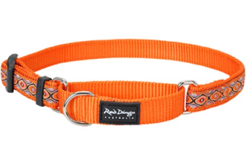 Red Dingo Designer Martingale Dog Collar, Small, Snake Eyes Orange