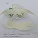 Arlai Wrist Corsage Wristband Roses Wrist Corsage for Prom, Party, Wedding Beige