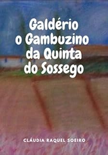 Livro Galdério, O Gambuzino Da Quinta Do Sossego