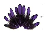Moonlight Feather | 1 Dozen - Purple Whiting Farms Laced Hen Saddle Feathers Craft Halloween Fly Tying