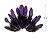 Moonlight Feather | 1 Dozen - Purple Whiting Farms Laced Hen Saddle Feathers Craft Halloween Fly Tying