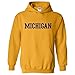 UGP Campus Apparel NCAA Officially licensed College - University Team Color Basic Hoodie Sweatshirt