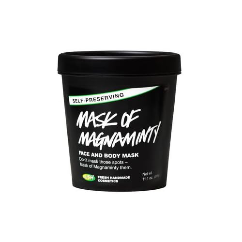 3 Best LUSH Face Masks 2021 Body & Face Lab