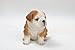 Hi-Line Sitting Bulldog Puppy Figurine,Brown/White, 6.5