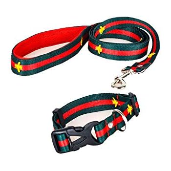 gucci dog collar amazon