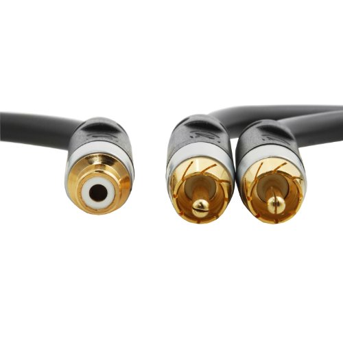 41uI96ev-sL.jpg