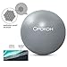 CPOKOH Exercise Ball,Anti Burst and Slip Resistant Yoga Ball,Swiss Ball,Fitness Ball,Ab Exercise Ball,Gym Ball,Workout Ball,Body Balance Ball, with Foot Pump(Silver,75cm)