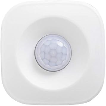 google home compatible motion sensor
