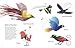 The Atlas of Amazing Birds: (fun, colorful watercolor paintings of birds from around the world with unusual facts, ages 5-10, perfect gift for young birders and naturalists)