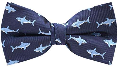 Carahere Men's Bow Ties Handmade Adjustable Pre-Tied Fun Pattern Bow Ties For Men (13R)