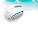 Wireless Mouse (Battery Included), FD M510c 2.4G Mini Silent Click Cordless Mouse, Optical Travel Mice with Nano USB Receiver for Desktop, Laptop, Computer, PC, Chromebook and Notebook (White&Green)