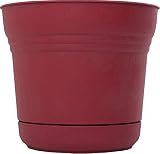 Bloem SP1012 Saturn Planter, 10", Union Red