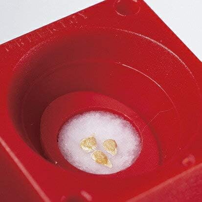 Amazon 聖新陶芸 Green Toy グリーントイ かわいいサボテン ペットボトルで育てる栽培セット 栽培キット オンライン通販