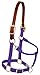 Weaver Leather Nylon Adjustable Breakaway Horse Halter, Average, Purple