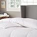 Amazon Brand – Pinzon Hypoallergenic White Goose Down Comforter, 100% Cotton Cover - Medium Warmth, Full/Queen