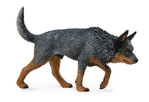 toy cattle dog