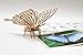 IncrediBuilds: Butterfly 3D Wood Model