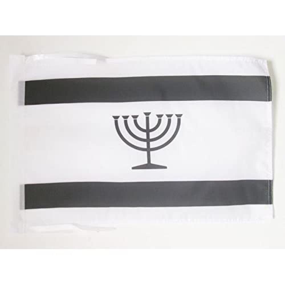 AZ FLAG - Yiddish Flag - 18'' x 12'' - 100% Polyester Judaism Small Banner with Two Cords - Fade Resistant - Vivid Colors - 18x12 in - 45x30 Cm — image 1