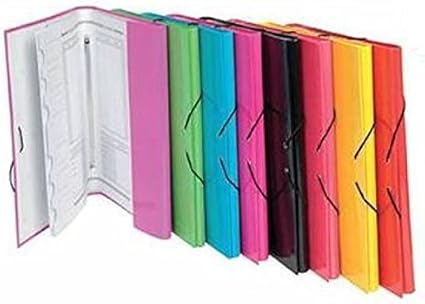 CAJA 8 CARPETAS CLASIFICADORAS Fº CARTON FORRADO: Amazon.es: Oficina y papelería