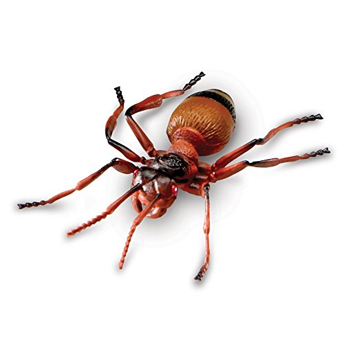 Learning Resources Jumbo Insects, 7-Insects