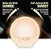 Wake Up Light Alarm Clock Lamp Alarm Clock Radio Sunrise Alarm Clock Fading Sunset with 7 Colors Sleep and Wake Up with PM Radio Light Alarm Clock Alarm Clock for Sleep Kids,Adults (White)