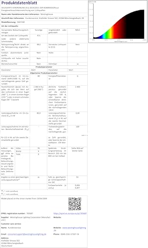 Westinghouse Lighting 132 cm Deckenventilator Bendan 72557 mit Einzelleuchte und fünf Flügeln, Ausführung in seidenmattem Chrom mit Opalmilchglas [Energieklasse G]