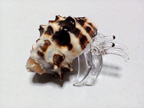 Pakdeevong shop Nice glass blowing hermit crab natural seashell