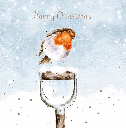 Wrendale Designs by Hannah Dale - A Little Red Robin - Christmas Card Box Set - Pack of 8