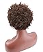 Deewin Hair Short Kinky Curly Human Hair Wig Cheep Female Afro Kinky Curly Short Wigs for Black Women Heat Resistant African Hair Wigs (Brown)