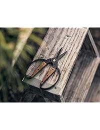 Barebones Living herramienta de jardín   Nogal mango tijeras, pequeño