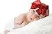 Zelda Matilda Extra Large Bow Clip for Newborn, Baby Headbands - Free Interchangeable Headband